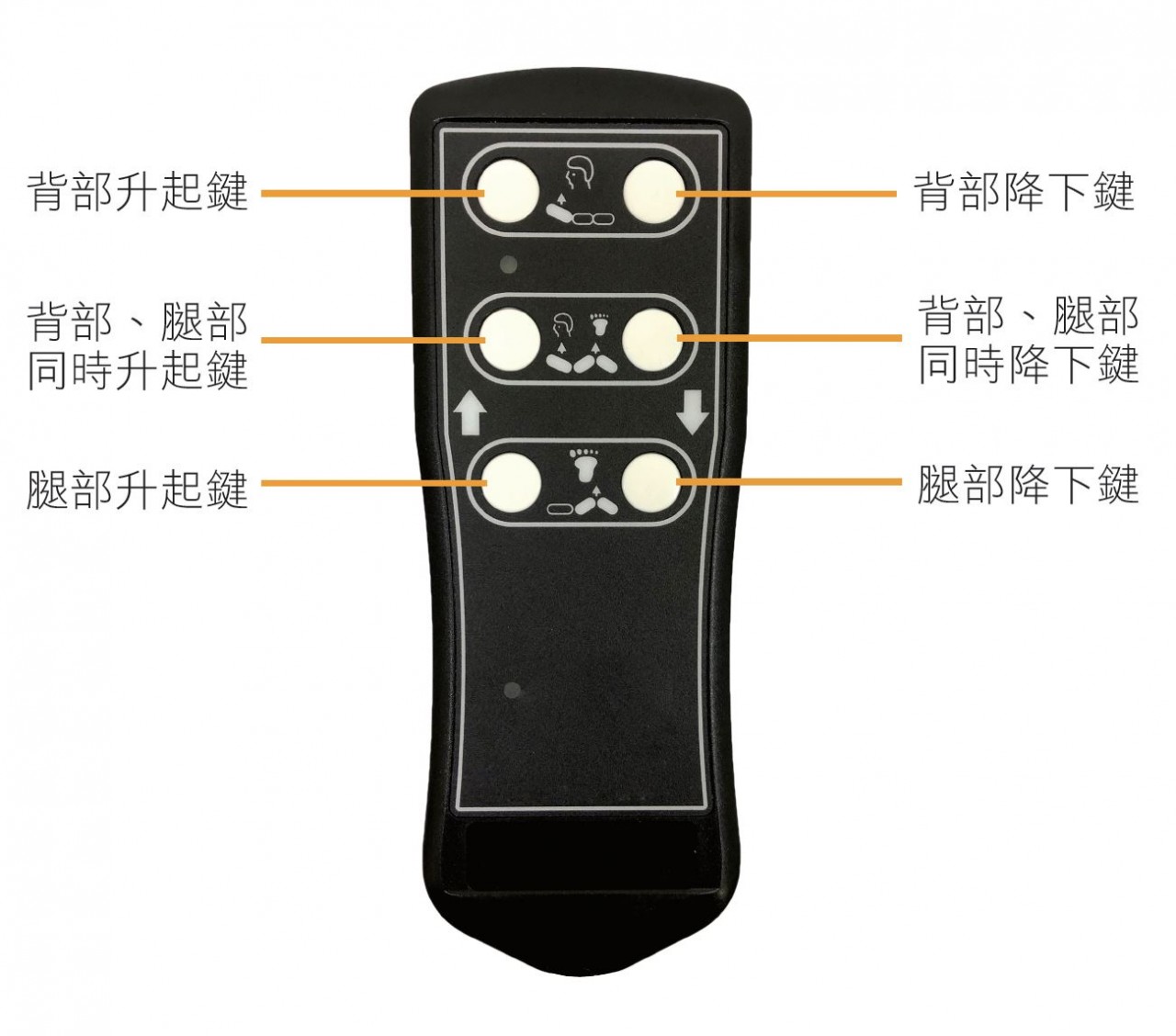 台灣 TR 36 電動床褥